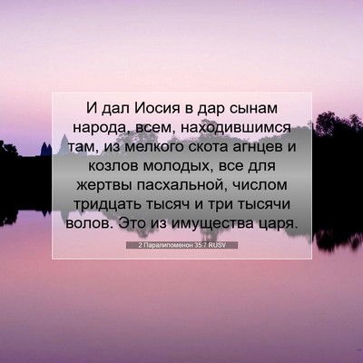 Picture 07 - 2 Паралипоменон 35:7 RUSV - И дал Иосия в дар сынам - Bible Verse Picture