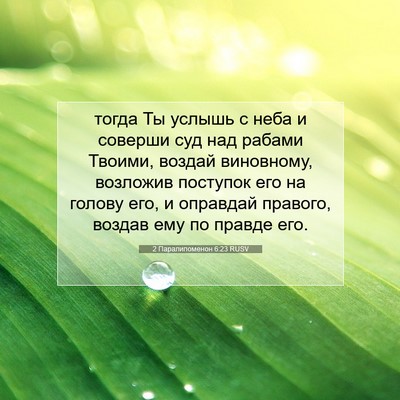 Picture 07 - 2 Паралипоменон 6:23 RUSV - тогда Ты услышь с неба и - Bible Verse Picture