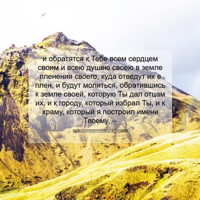 Picture 07 - 2 Паралипоменон 6:38 RUSV - и обратятся к Тебе всем - Bible Verse Picture