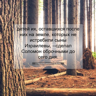 Picture 07 - 2 Паралипоменон 8:8 RUSV - детей их, оставшихся после - Bible Verse Picture