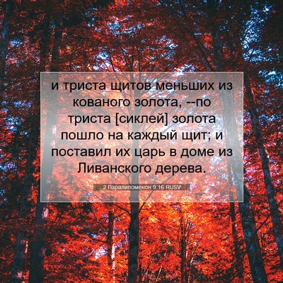 Picture 07 - 2 Паралипоменон 9:16 RUSV - и триста щитов меньших из - Bible Verse Picture