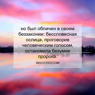 Picture 07 - 2 Петра 2:16 RUSV - но был обличен в своем - Bible Verse Picture