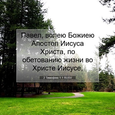 Picture 07 - 2 Тимофею 1:1 RUSV - Павел, волею Божиею - Bible Verse Picture