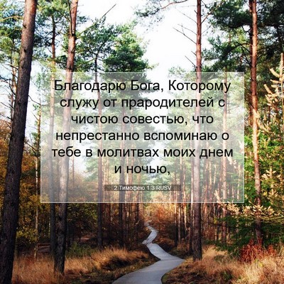 Picture 07 - 2 Тимофею 1:3 RUSV - Благодарю Бога, Которому - Bible Verse Picture