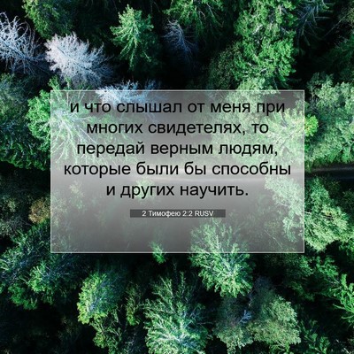 Picture 07 - 2 Тимофею 2:2 RUSV - и что слышал от меня при - Bible Verse Picture