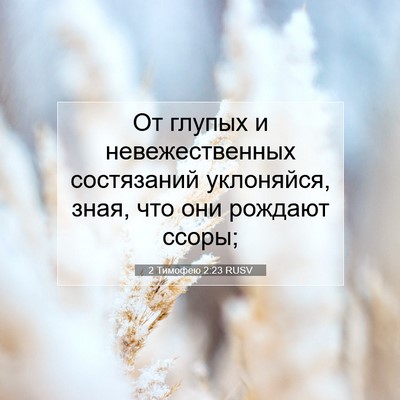 Picture 07 - 2 Тимофею 2:23 RUSV - От глупых и невежественных - Bible Verse Picture