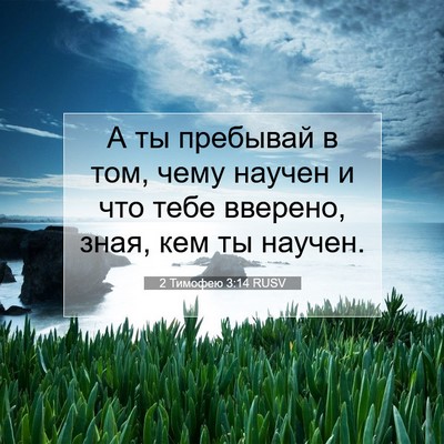 Picture 07 - 2 Тимофею 3:14 RUSV - А ты пребывай в том, чему - Bible Verse Picture