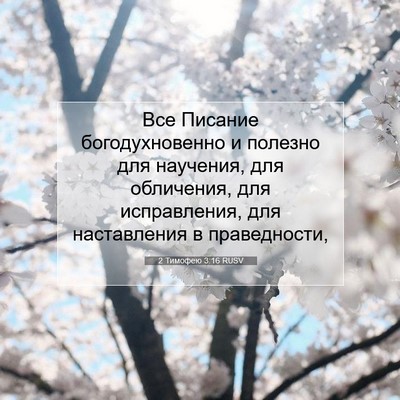 Picture 07 - 2 Тимофею 3:16 RUSV - Все Писание - Bible Verse Picture