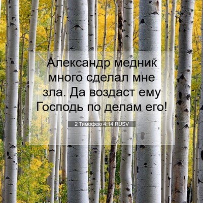 Picture 07 - 2 Тимофею 4:14 RUSV - Александр медник много - Bible Verse Picture