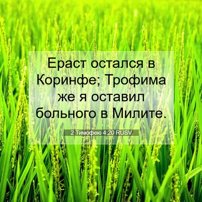 Picture 07 - 2 Тимофею 4:20 RUSV - Ераст остался в Коринфе; - Bible Verse Picture