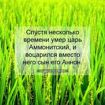 Picture 07 - 2 Царств 10:1 RUSV - Спустя несколько времени - Bible Verse Picture
