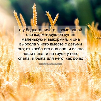 Picture 07 - 2 Царств 12:3 RUSV - а у бедного ничего, кроме - Bible Verse Picture