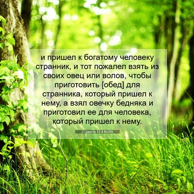 Picture 07 - 2 Царств 12:4 RUSV - и пришел к богатому - Bible Verse Picture