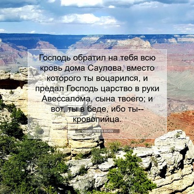 Picture 07 - 2 Царств 16:8 RUSV - Господь обратил на тебя - Bible Verse Picture