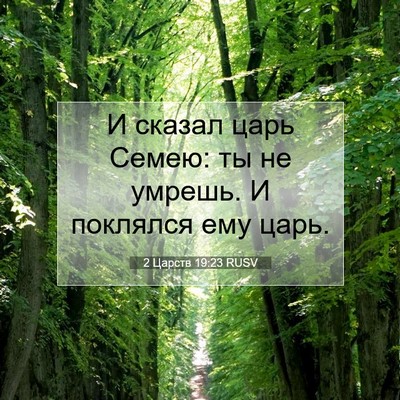 Picture 07 - 2 Царств 19:23 RUSV - И сказал царь Семею: ты не - Bible Verse Picture