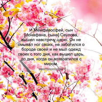 Picture 07 - 2 Царств 19:24 RUSV - И Мемфивосфей, сын - Bible Verse Picture