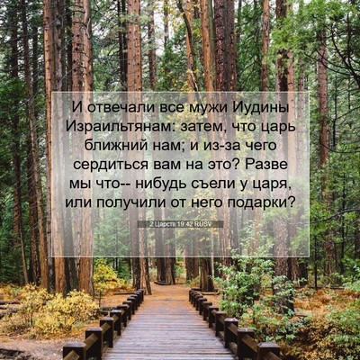 Picture 07 - 2 Царств 19:42 RUSV - И отвечали все мужи Иудины - Bible Verse Picture