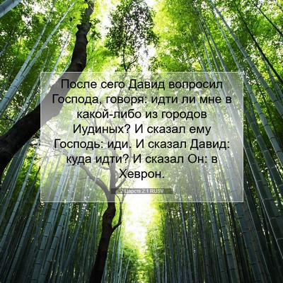 Picture 07 - 2 Царств 2:1 RUSV - После сего Давид вопросил - Bible Verse Picture