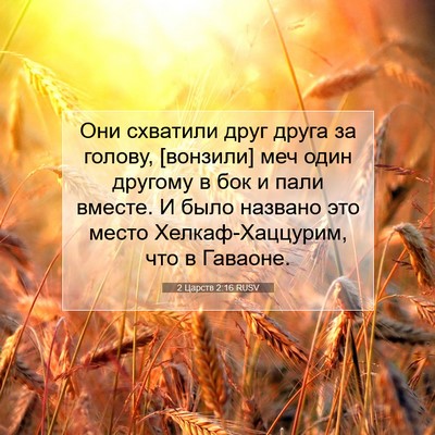 Picture 07 - 2 Царств 2:16 RUSV - Они схватили друг друга за - Bible Verse Picture