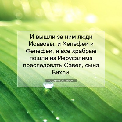 Picture 07 - 2 Царств 20:7 RUSV - И вышли за ним люди - Bible Verse Picture