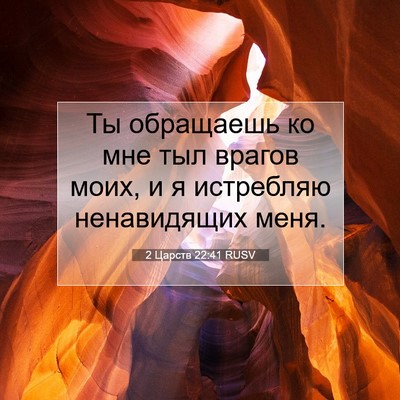 Picture 07 - 2 Царств 22:41 RUSV - Ты обращаешь ко мне тыл - Bible Verse Picture