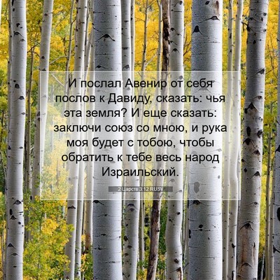 Picture 07 - 2 Царств 3:12 RUSV - И послал Авенир от себя - Bible Verse Picture
