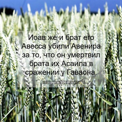 Picture 07 - 2 Царств 3:30 RUSV - Иоав же и брат его Авесса - Bible Verse Picture
