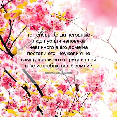 Picture 07 - 2 Царств 4:11 RUSV - то теперь, когда негодные - Bible Verse Picture