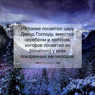 Picture 07 - 2 Царств 8:11 RUSV - Их также посвятил царь - Bible Verse Picture