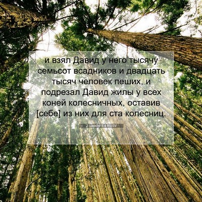 Picture 07 - 2 Царств 8:4 RUSV - и взял Давид у него тысячу - Bible Verse Picture