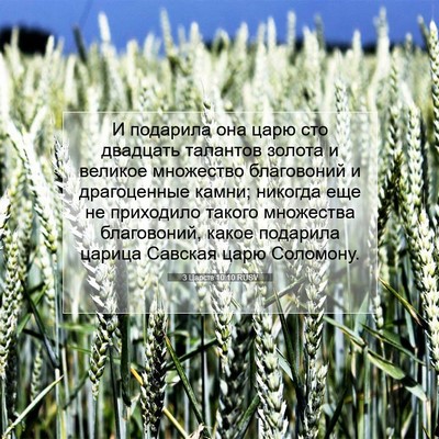 Picture 07 - 3 Царств 10:10 RUSV - И подарила она царю сто - Bible Verse Picture