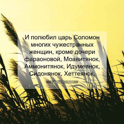 Picture 07 - 3 Царств 11:1 RUSV - И полюбил царь Соломон - Bible Verse Picture