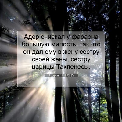Picture 07 - 3 Царств 11:19 RUSV - Адер снискал у фараона - Bible Verse Picture