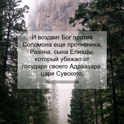 Picture 07 - 3 Царств 11:23 RUSV - И воздвиг Бог против - Bible Verse Picture
