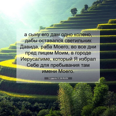 Picture 07 - 3 Царств 11:36 RUSV - а сыну его дам одно колено, - Bible Verse Picture