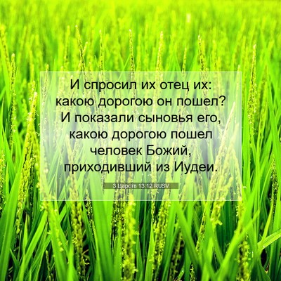 Picture 07 - 3 Царств 13:12 RUSV - И спросил их отец их: какою - Bible Verse Picture