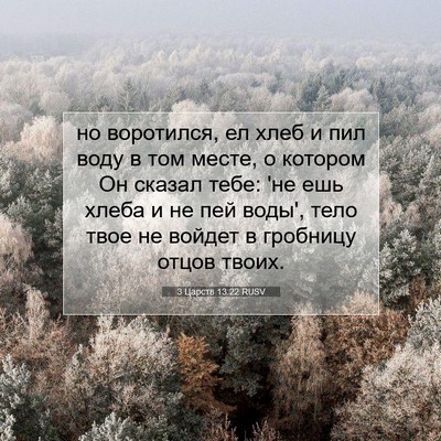 Picture 07 - 3 Царств 13:22 RUSV - но воротился, ел хлеб и пил - Bible Verse Picture