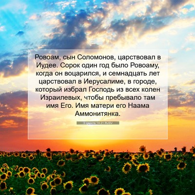 Picture 07 - 3 Царств 14:21 RUSV - Ровоам, сын Соломонов, - Bible Verse Picture