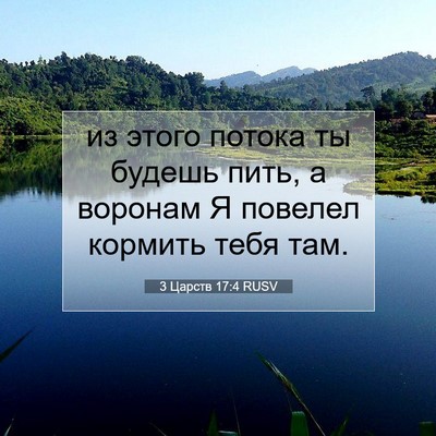 Picture 07 - 3 Царств 17:4 RUSV - из этого потока ты будешь - Bible Verse Picture