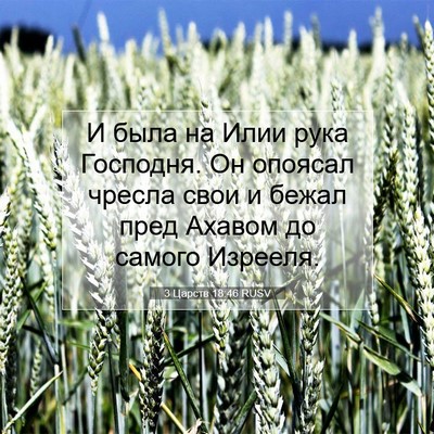 Picture 07 - 3 Царств 18:46 RUSV - И была на Илии рука - Bible Verse Picture
