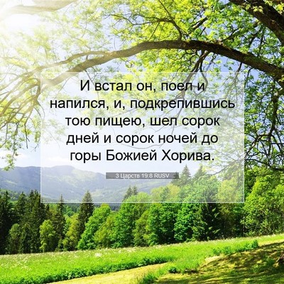 Picture 07 - 3 Царств 19:8 RUSV - И встал он, поел и напился, - Bible Verse Picture