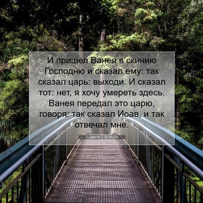 Picture 07 - 3 Царств 2:30 RUSV - И пришел Ванея в скинию - Bible Verse Picture