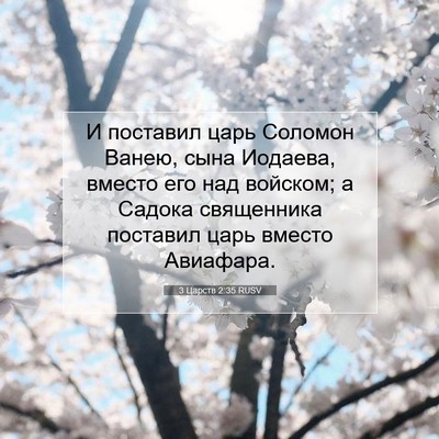 Picture 07 - 3 Царств 2:35 RUSV - И поставил царь Соломон - Bible Verse Picture