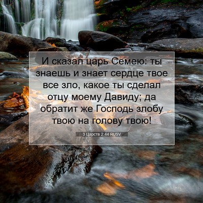 Picture 07 - 3 Царств 2:44 RUSV - И сказал царь Семею: ты - Bible Verse Picture