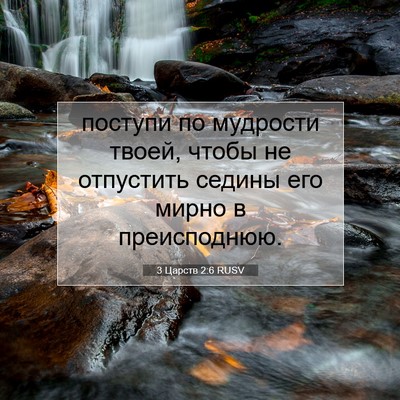 Picture 07 - 3 Царств 2:6 RUSV - поступи по мудрости твоей, - Bible Verse Picture