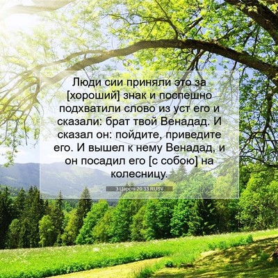 Picture 07 - 3 Царств 20:33 RUSV - Люди сии приняли это за - Bible Verse Picture