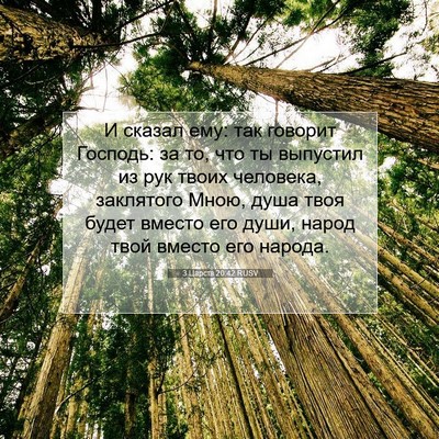 Picture 07 - 3 Царств 20:42 RUSV - И сказал ему: так говорит - Bible Verse Picture