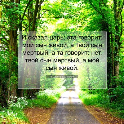 Picture 07 - 3 Царств 3:23 RUSV - И сказал царь: эта говорит: - Bible Verse Picture