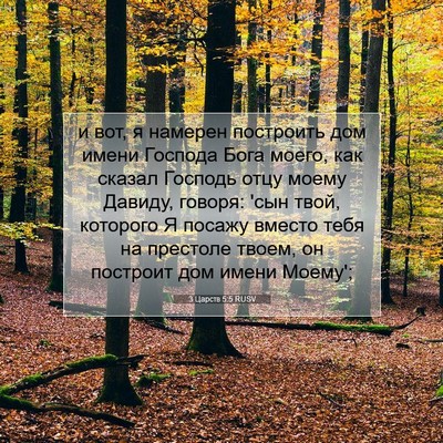Picture 07 - 3 Царств 5:5 RUSV - и вот, я намерен построить - Bible Verse Picture