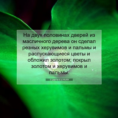 Picture 07 - 3 Царств 6:32 RUSV - На двух половинах дверей - Bible Verse Picture